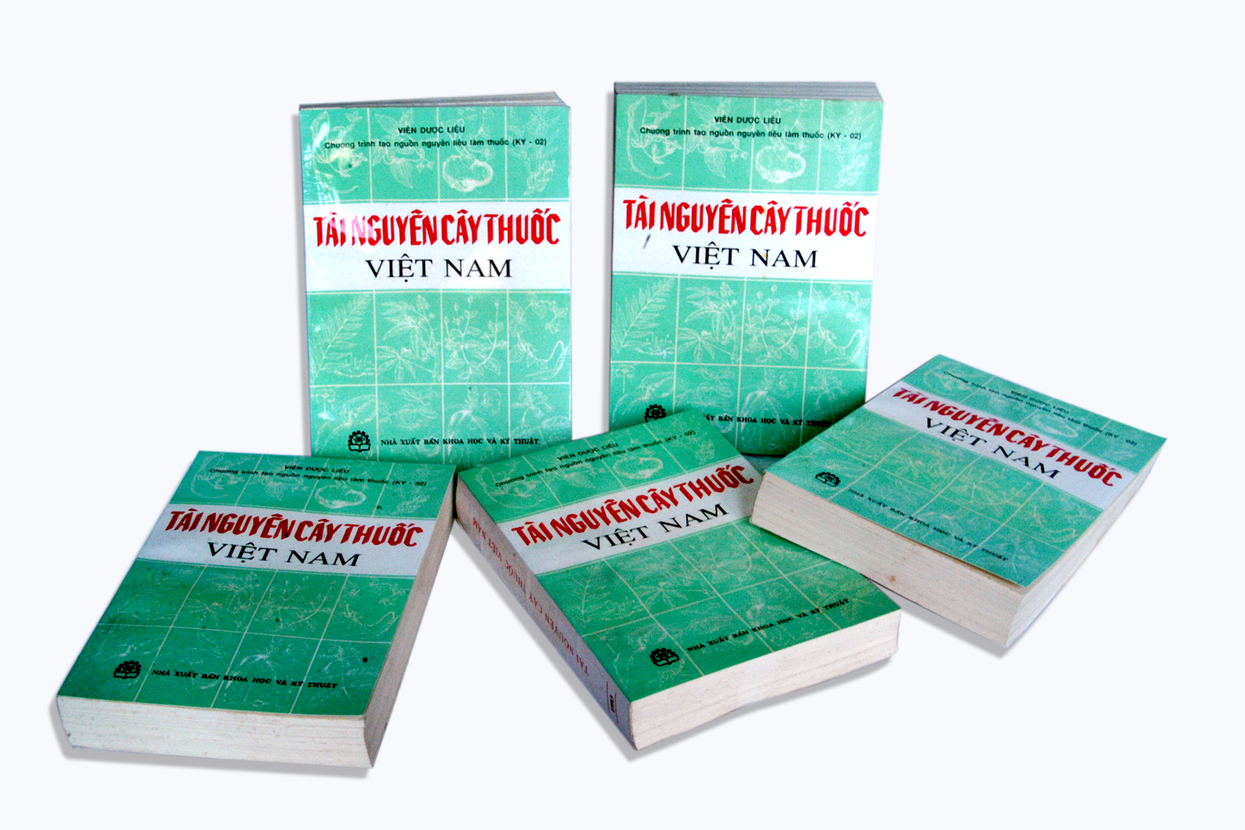 Không có ảnh